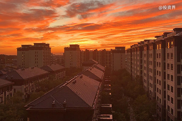 开年最热赛道突然刹车